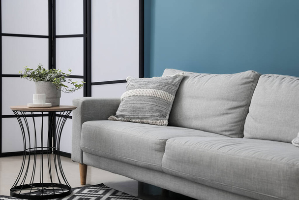 Сірий диван з подушкою, кімнатна рослина на столі і складний екран біля синьої стіни
 - Фото, зображення