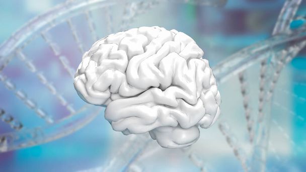 Cervello sullo sfondo del DNA per la scienza o la salute e il concetto medico rendering 3d - Foto, immagini