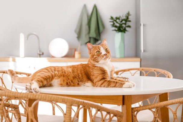 Cute red cat lying on dining table in kitchen - Foto, Imagen