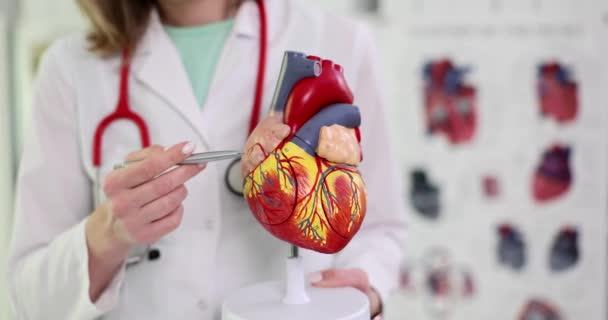 Καρδιολόγος γιατρός δείχνει ανατομία της καρδιάς και των αιμοφόρων αγγείων. διάγνωση καρδιαγγειακών παθήσεων και θεραπεία - Πλάνα, βίντεο