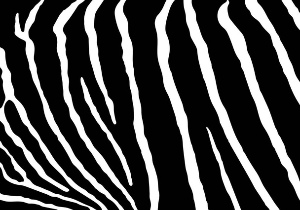 Vector zebra print pattern animal seamless. Zebra skin abstract for printing, cutting, and crafts Ideal for mugs, stickers, web, cover, home decorate and more. - Wektor, obraz