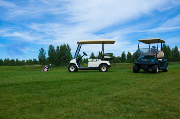 Yaz aylarında golfe sahasında iki golf arabaları - Fotoğraf, Görsel