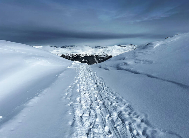 Maravilhosas trilhas para caminhadas de inverno e vestígios na cobertura de neve alpina fresca dos Alpes Suíços e sobre a estância turística de Arosa - Cantão de Grisões, Suíça (Schweiz) - Foto, Imagem