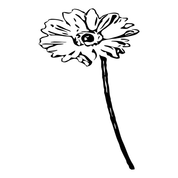 Ilustración vectorial. Flores negras sobre fondo blanco. - Vector, imagen