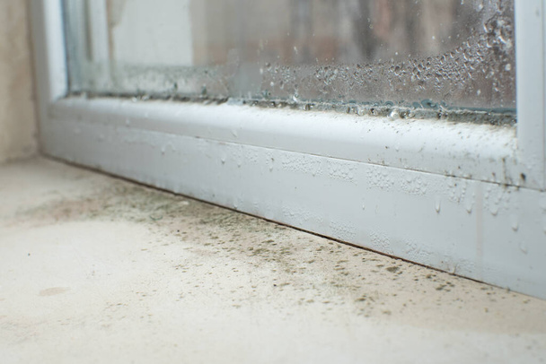 Schwarzer Schimmelpilz wächst auf Fensterbank. Feuchtigkeitsprobleme. Kondenswasser am Fenster. - Foto, Bild