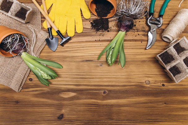 Gardening tools and flowers on the wooden background top view. Home spring gardening hobbies. - Foto, imagen