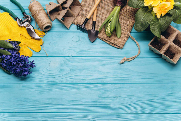 Gardening tools and flowers on blue wooden background top view. Home spring gardening hobbies. - Fotó, kép