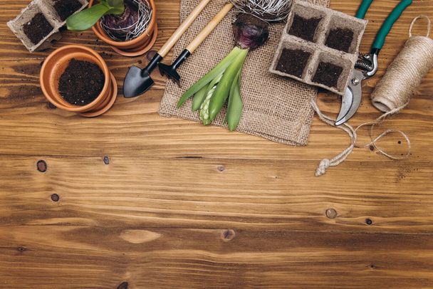 Tuingereedschap en bloemen op de houten achtergrond bovenaanzicht. Home Lente tuinieren hobby 's. - Foto, afbeelding