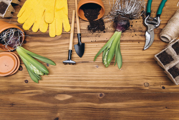 Εργαλεία κηπουρικής και λουλούδια στην ξύλινη κάτοψη. Αρχική άνοιξη χόμπι κηπουρική. - Φωτογραφία, εικόνα