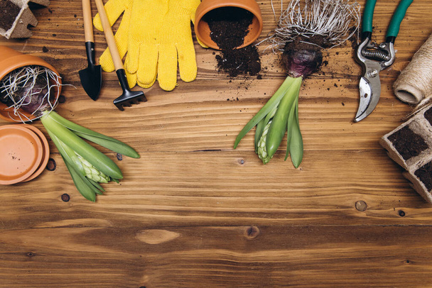 Gardening tools and flowers on the wooden background top view. Home spring gardening hobbies. - Photo, Image