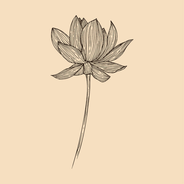 Ilustración vectorial flor de loto con línea de arte - Vector, Imagen