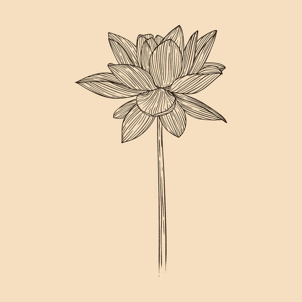 Lotus flower vector illustration with line art - Διάνυσμα, εικόνα