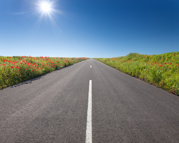 Driving on an empty road at sunny day - Photo, Image