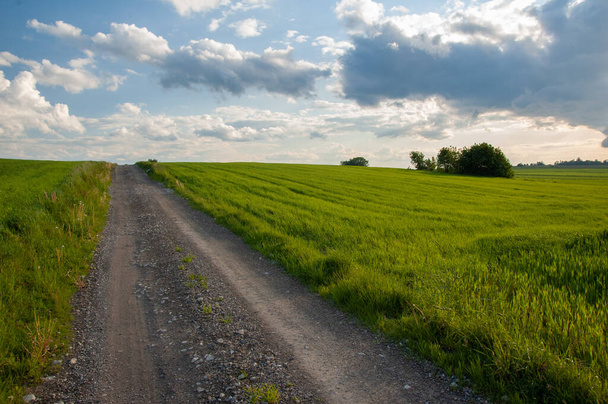 road in a field - Foto, imagen