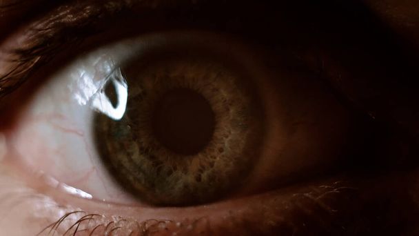 Зеленый глаз крупным планом с капиллярами. Испуганный взгляд. Концепция офтальмологии и медицины. Экстремальный макро глаз. Изображение с кинематографическим тоном - Фото, изображение