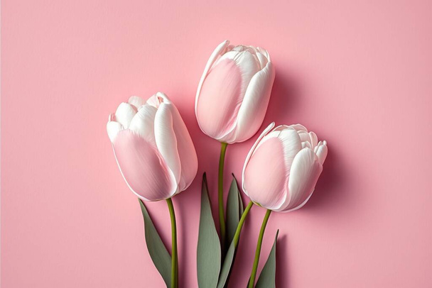 Szép rózsaszín tulipán, felső nézet, elszigetelt puha színű háttér. - Fotó, kép