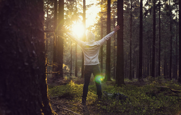 Man praying at sunset in the deep woods raised hands - 写真・画像