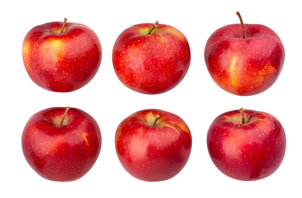 czerwona ścieżka jabłkowa izolowana na białym - Zdjęcie, obraz