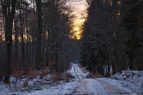 Schneebedeckte Straße im Pfälzerwald unter orangefarbenem Himmel bei Sonnenuntergang an einem Winternachmittag in Deutschland. - Foto, Bild