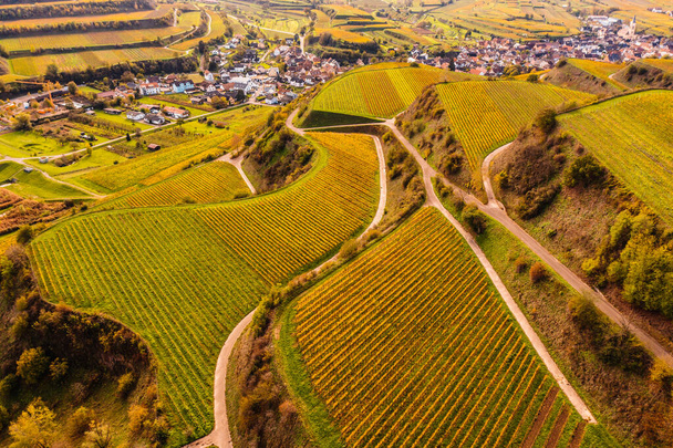 drone vue aérienne depuis les vignobles colorés d'automne dans le Kaiserstuhl Allemagne - Photo, image