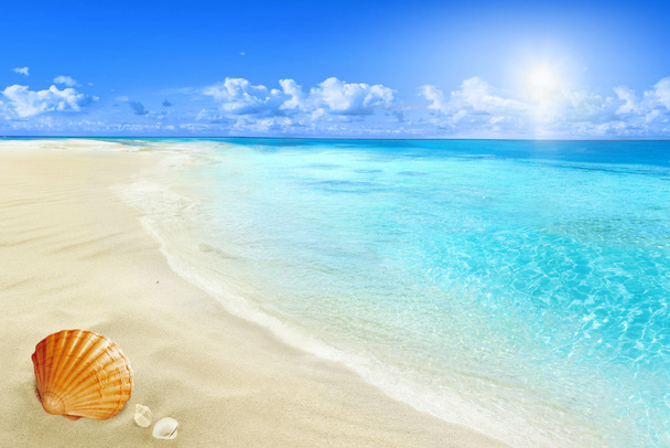 Playa soleada
 - Foto, imagen