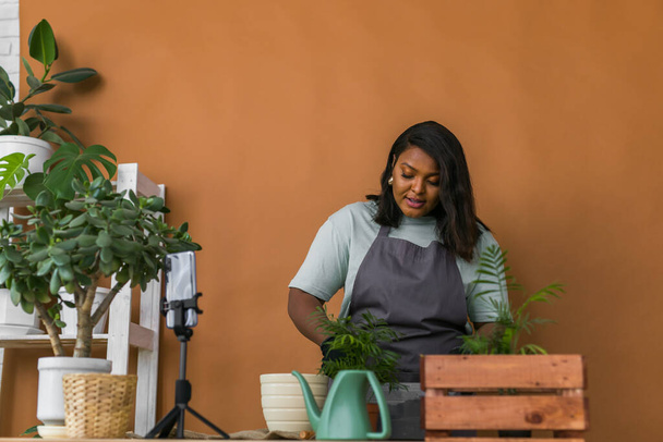 African american girl vlogger influencer or SME owner work on home video camera selfie shoot filming take care home plants and transplanting plant in flowerpot. Home gardening and florist - Fotó, kép