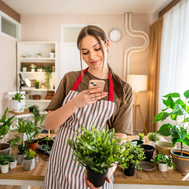One woman young generation z adult caucasian female take care of her plants at home photographing flower pot with her smartphone mobile phone send photos to social media or as message real person - Foto, Imagem