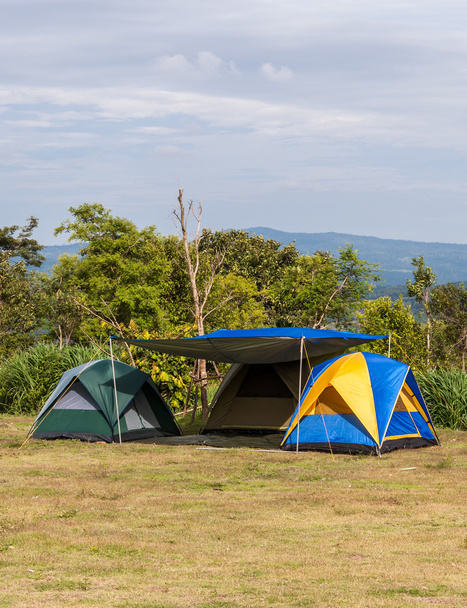 Värikäs teltta
 - Valokuva, kuva