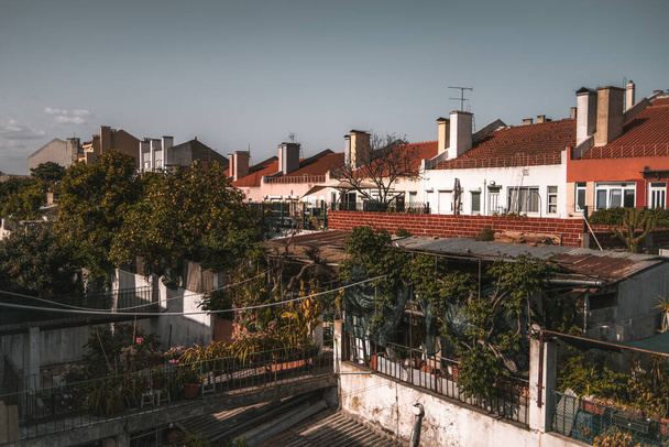 Looking over to the neighboring yard, the plants grow wildly untrimmed and it appears a bit messy, yet it exudes a certain charm and offers a peaceful respite from the hustle and bustle of the city - Fotoğraf, Görsel