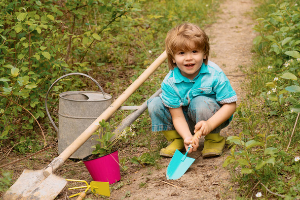 Children summer activities. Carefree childhood. Little Farmer boy examining Common fig crop in plantation or field - Zdjęcie, obraz