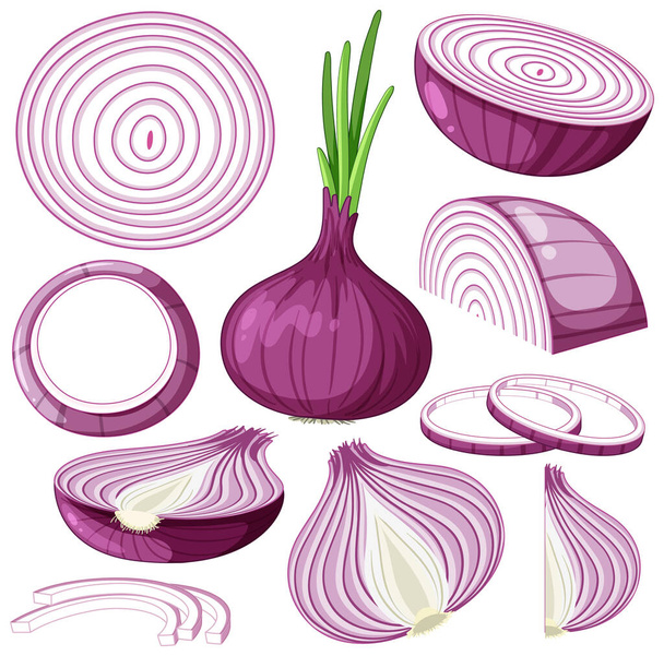 Set red shallot isolated illustration - Vector, Image