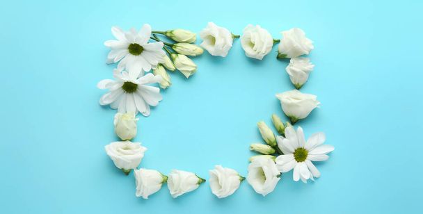 Σκελετός από όμορφο ευστό και λουλούδια χαμομηλιού σε γαλάζιο φόντο - Φωτογραφία, εικόνα