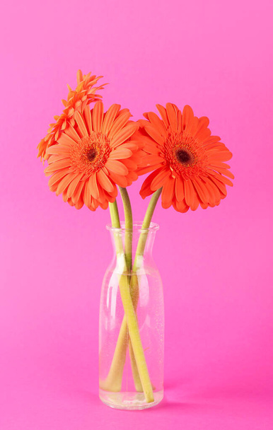 váza gyönyörű gerbera virágok rózsaszín háttér - Fotó, kép