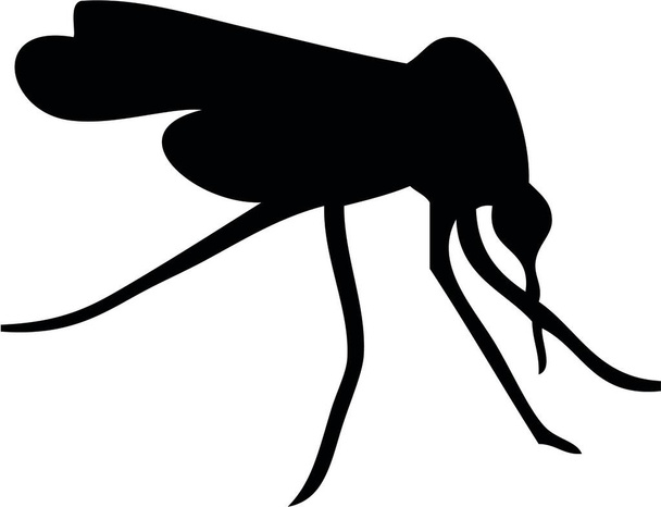 Mosquito ασπρόμαυρη απεικόνιση - Διάνυσμα, εικόνα