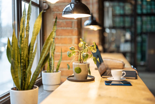 Pracoviště s notebookem a kávovým nápojem na společném stole u okna moderní kavárny - Fotografie, Obrázek
