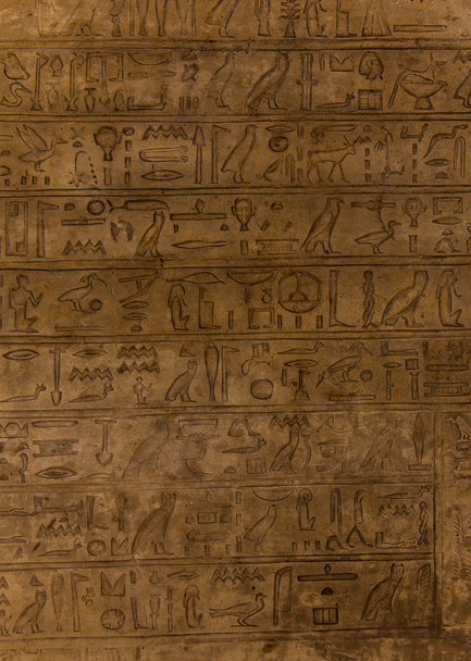 Hieroglyphe - Foto, Bild