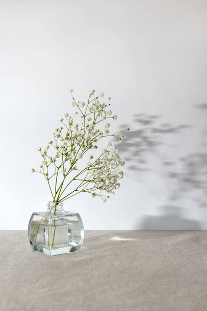 White gypsophila flower bouquet in glass vase on a table, sunlight shadows on white wall background, minimalist aesthetic still life composition, copy space - Zdjęcie, obraz