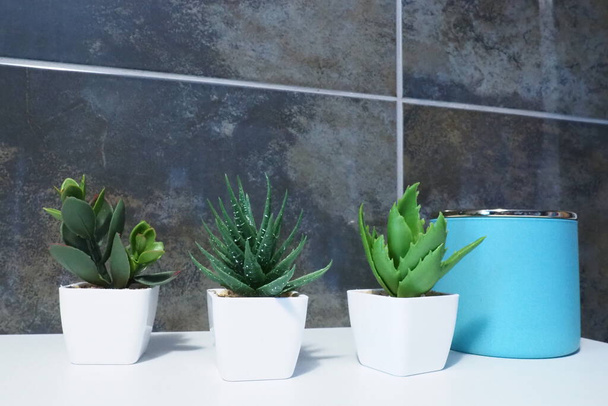 Bathroom decor elements. A blue jar of cream or oil, green artificial plants in small white pots stand on a cabinet shelf. Black wall tiles. Bathroom and toilet interior. - Photo, image