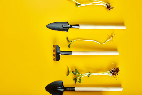Επίπεδη lay κηπουρική εργαλεία και χόρτα σε κίτρινο φόντο, Άνοιξη κήπο λειτουργεί έννοια, Copy space for text, top view - Φωτογραφία, εικόνα