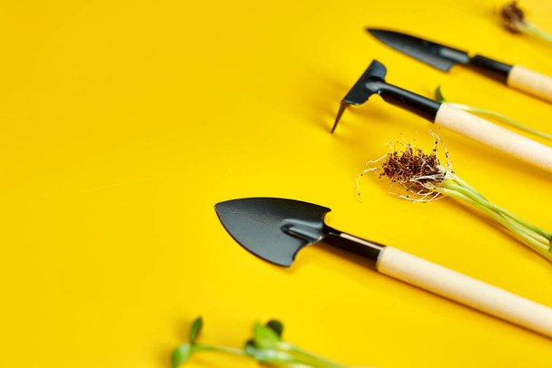 Επίπεδη lay κηπουρική εργαλεία και χόρτα σε κίτρινο φόντο, Άνοιξη κήπο λειτουργεί έννοια, Copy space for text, top view - Φωτογραφία, εικόνα