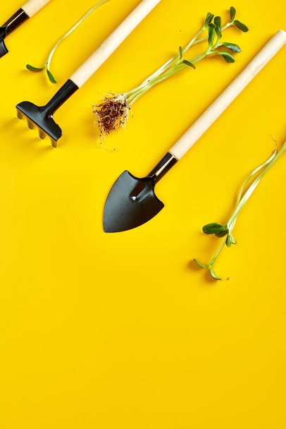 Pose plate outils de jardinage et de verdure sur fond jaune, concept de travaux de jardin de printemps, Espace de copie pour le texte, vue du dessus - Photo, image