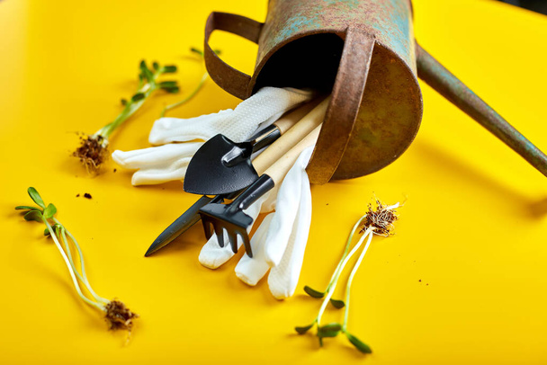 Flat lay watering can, gardening tools, gloves and greens on yellow background, Spring garden works concept, Copy space for text, top view - Photo, Image