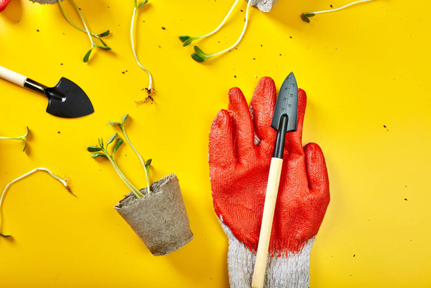 Επίπεδες γλάστρες τύρφη, γάντια, εργαλεία κηπουρικής και χόρτα σε κίτρινο φόντο, Spring garden works concept, Copy space for text, top view - Φωτογραφία, εικόνα