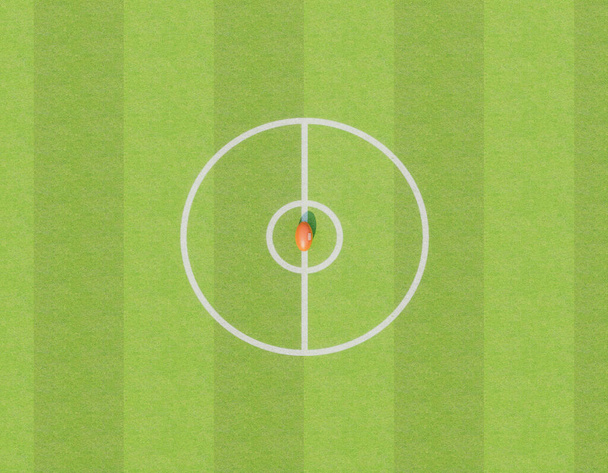 Un aussie rosso governa la palla sulla linea centrale di uno stadio con pali su un campo di erba verde segnato durante il giorno - rendering 3D - Foto, immagini