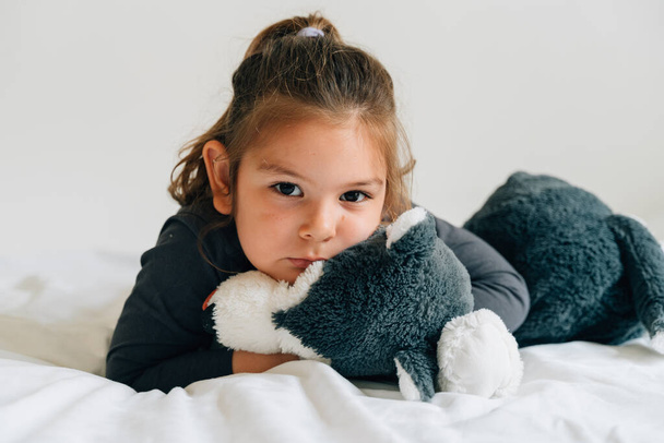 Preschool age child girl with favourite toy dog. . High quality photo - Foto, Imagen