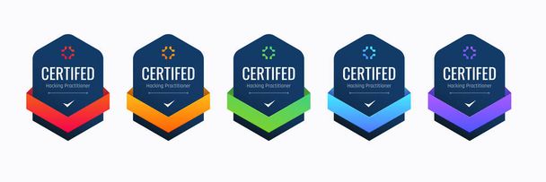 Certified Badge Design for Hacking Practitioner. Profesionální certifikace zabezpečení počítače na základě kritérií. - Vektor, obrázek