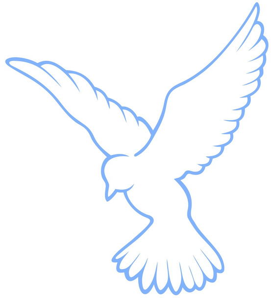 Oiseau blanc
 - Vecteur, image