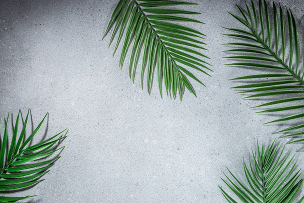 Liście tropikalne, rośliny palmowe na jasnym tle. Streszczenie minimalistycznej sceny. Widok z góry. miejsce na tekst. - Zdjęcie, obraz