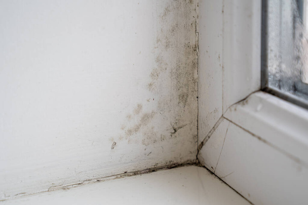 janela suja velha, molde preto cresce no peitoril da janela, danos domésticos, mofo, alta umidade em casa, limpeza na casa - Foto, Imagem