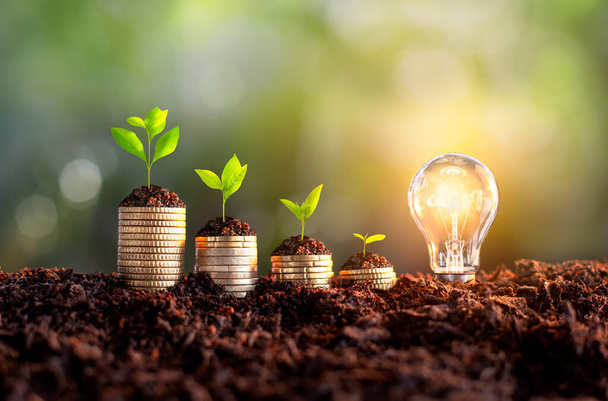 Növekvő pénz - Növények érmékre - Pénz és befektetési koncepciók. növekvő pénz a talajban, siker, kreatív villanykörte ötlet, energia vagy üzleti ötlet koncepció ökológia, hitel, jelzálog, - Fotó, kép